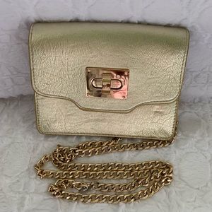 Gold purse